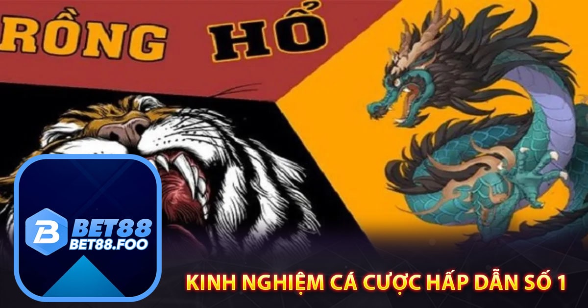 Kinh nghiệm cá cược hấp dẫn số 1