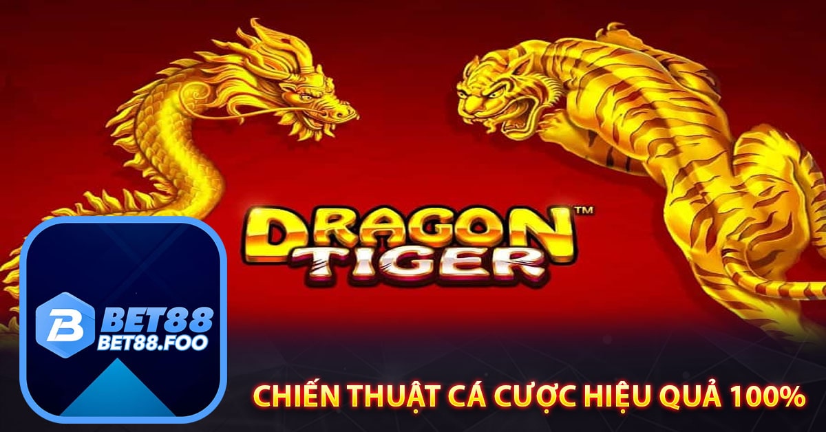 Chiến thuật cá cược hiệu quả 100%