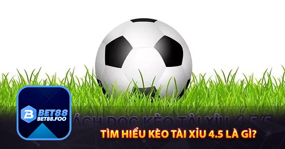 Tìm hiểu kèo Tài Xỉu 4.5 là gì?