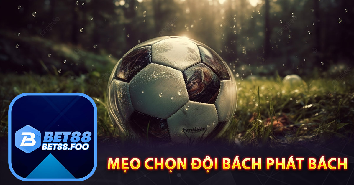 Mẹo chọn đội bách phát bách